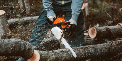 Waldarbeiten-AdobeStock_287182411