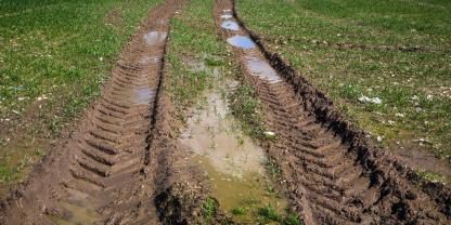 Reifenspuren auf einer Wiese