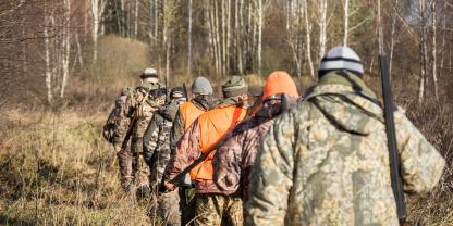 Jäger im Gänsemarsch. Im Kampf gegen Neozoen sollen nun bei Bedarf Entnahmeteams zum Einsatz kommen, um EU-Recht durchzusetzen (Symbolbild).