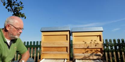 Die Befallskontrolle vor der Behandlung ist wichtig, z. B. über die Windel.  