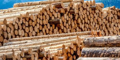 Sägewerk-Nordamerika-AdobeStock_621629608