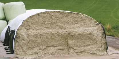 Blick auf einen gefüllten Silotunnel/Siloschlauch