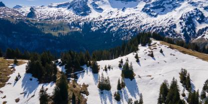 Je nach Lage am Hang haben Wälder unterschiedliche Auswirkungen auf die Schneeschmelze.