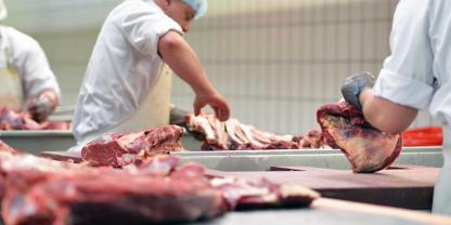 Auf Schlachthöfen bleiben Leiharbeit und Werkverträge verboten. Das geht aus einem Urteil des Bundesverfassungsgericht hervor.