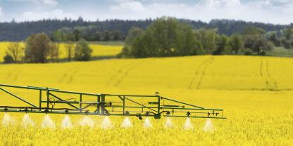 Blütenbehandlungen im Raps sind nur mit B4-Mitteln erlaubt. Dennoch zeigen Untersuchungen, dass selbst solche Anwendungen das Verhalten von Bienen beeinflussen können.