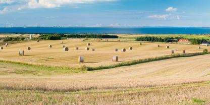 Felder mit Rundballen an der Küste in Dänemark