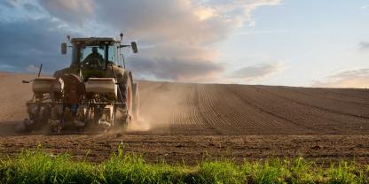 Jetzt schon wissen, wie der Sommer wird? Diese Bauernregel verspricht es.