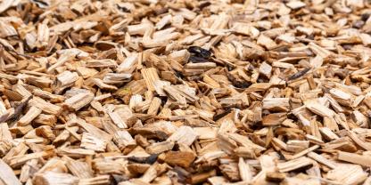 Bei verschiedenen Baumarten für Hackschnitzel gibt es bei der Energieausbeute deutliche Unterschiede.