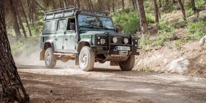 Kommen bald mehr Landys in deutschen Revieren vor?