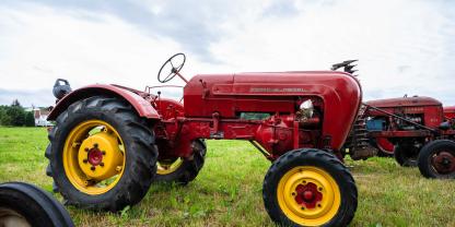 Ein alter Porsche Oldtimer Traktor auf einer Wiese