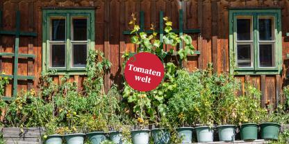 Tomatenwelt Folge 10 Header