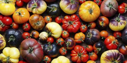 Tomate