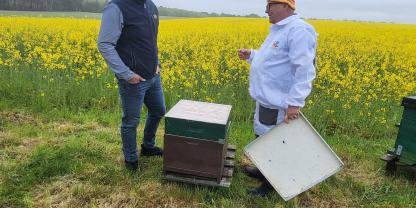 Landwirt Christoph Herzog und Imker Peter Prokoph kennen die Probleme der jeweils anderen Seite – und sind in regem Austausch miteinander.
