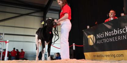 Für sage und schreibe 80.000 € wurde das Kalb Charisma am Betrieb von Möck-Milch in Franken versteigert. Rechts im Bild Auktionator Nici Nosbisch.