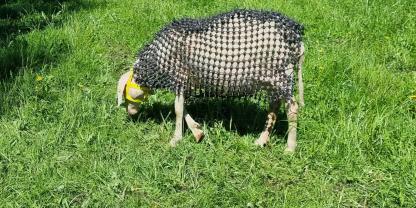 Dieser „Schafanzug“ ist ein Prototyp, der künftig weiterentwickelt wird, um den Anforderungen des Tierwohls möglichst zu entsprechen.