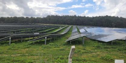 Ein Solarpark auf einer Wiese mit Umzäunung
