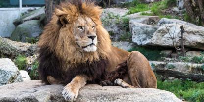 Ein Einsatz im Dortmunder Zoo beschäftigte die Polizei.
