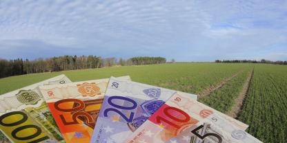 Euro-Scheine werden in die Kamera gehalten, im Hintergrund ist ein Feld zu erkennen.