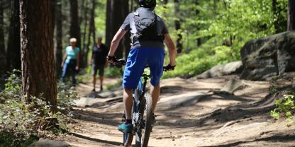 Typische Konfliktsituation im Wald: Mountainbiker begegnet Wanderern.