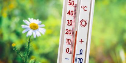 Kommt die Schafskälte 2026? Oder bleibt der Frühsommer?
