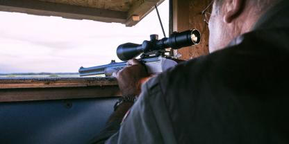 Ob der Schuss aus der Waffe eines Jägers stammt, ist bisher unklar.