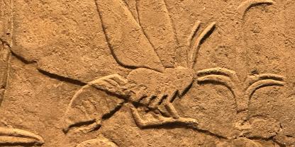 Bienen erscheinen bereits auf Inschriften der ersten Pharaonen, und Darstellungen der Imkerei weisen auf eine 5.000 Jahre alte Tradition in Ägypten hin.