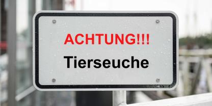 Einsatzkräfte proben im Landkreis Leer den Ernstfall einer Tierseuche – auch für Landwirte zählt dann schnelles Handeln (Symbolbild).