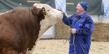 Der Mahango Pp* lebt nicht mehr. Im Bild zehnjährig mit seinem langjährigen Pfleger Sebastian Deutinger bei der GuR-Bullenparade 2023.