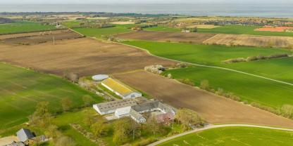 Ein Pflanzenzuchtbetrieb in Dänemark