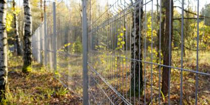 Wald-Zaun-AdobeStock_1124772283