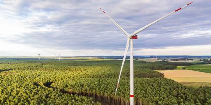 Windkraft im Forst:  Verantwortungsvoll Einnahmen steigern