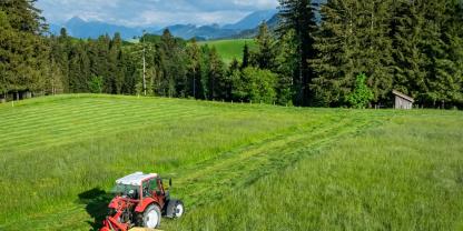 Vor der Mahd sollten Flächen unbedingt nach Jungwild abgesucht werden. Meist finden sich hier schnell Freiwillige aus der Jägerschaft.
