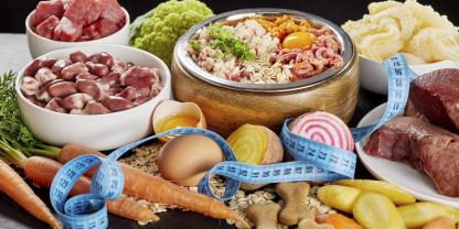 Hundefutter