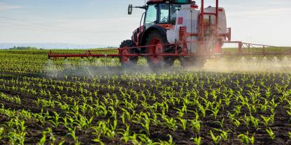 Ein Landwirt bringt Pflanzenschutzmittel in jungen Maispflanzen aus.