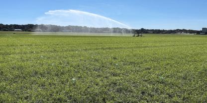 Die Witterung kann sehr wohl einen Einfluss auf die Beregnungsverluste haben. Hohe Windgeschwindigkeiten verschlechtern die Querverteilung. Viele Wasser landet außerhalb der Beregnungsgasse. Hohe Temperaturen begünstigen höhere Verdunstungsraten.<b><i>Die Witterung </i></b>kann sehr wohl einen Einfluss auf die Beregnungsverluste haben kann. Hohe Windgeschwindigkeiten verschlechtern die Querverteilung. Hohe Temperaturen begünstigen höhere Verdunstungsraten.