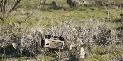 In Bayern können nach einer Gesetzesänderung zukünftig elektronische Locker bei der Jagd auf Raubwild zum Einsatz kommen.
