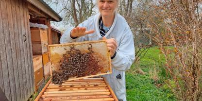 Undine Westphal zeigt, wie ein gezielter Schlag auf den Oberträger die Bienen schonend von der Wabe in die Beute befördert.