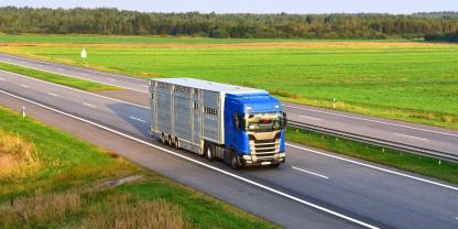 Blauer-Viehtransporter_AdobeStock_948005470