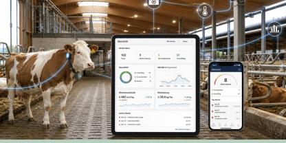 Digitalisierung-KI-Kuhstall-Aulendorf