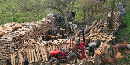 Brennholz-machen-Landwirt-AdobeStock_180505317