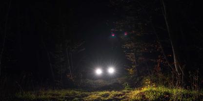 In Frankreich sollen sechs Männer Wildtiere auch bewusst mit Autos getötet haben.