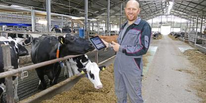 Der TBS-Rechner ermöglicht die Bestimmung der optimalen tierindividuellen freiwilligen Wartezeit und ist kostenlos online abrufbar.Foto: LFA MV