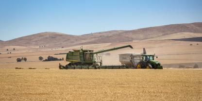 Wenn Australiens Farmer durch El Nino weniger ernten, kann das Echo bis nach Deutschland reichen.