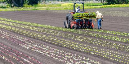 Landwirtschaft-Minijob-AdobeStock_365750322