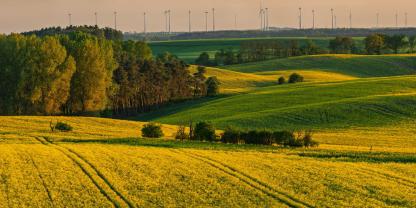 Felder-in-Brandenburg-AdobeStock_2025371455