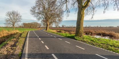 Straße-Felder-Bäume-AdobeStock_1847700198
