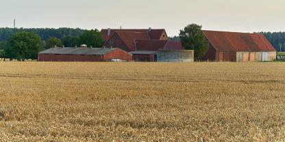 Bauernhof-Münsterland-AdobeStock_280357503