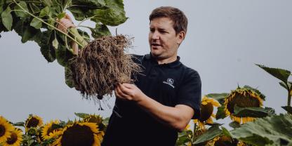 Landwirt hält eine Sonnenblume in der Hand