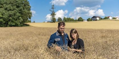 Eine agrarheute-Umfrage zeigt, dass Landwirte den Rapsanbau zunehmend kritisch sehen.