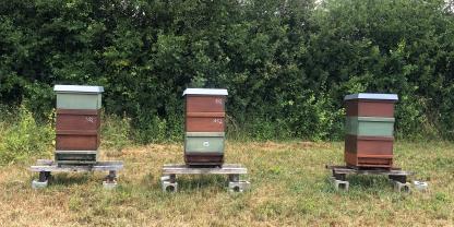 Im Rahmen des KliBi-Projekts wurden verschiedene Anstriche und Positionierungen von Blechdeckeln getestet und der Effekt auf die Wärmeübertragung in den Bienenstock ermittelt.
